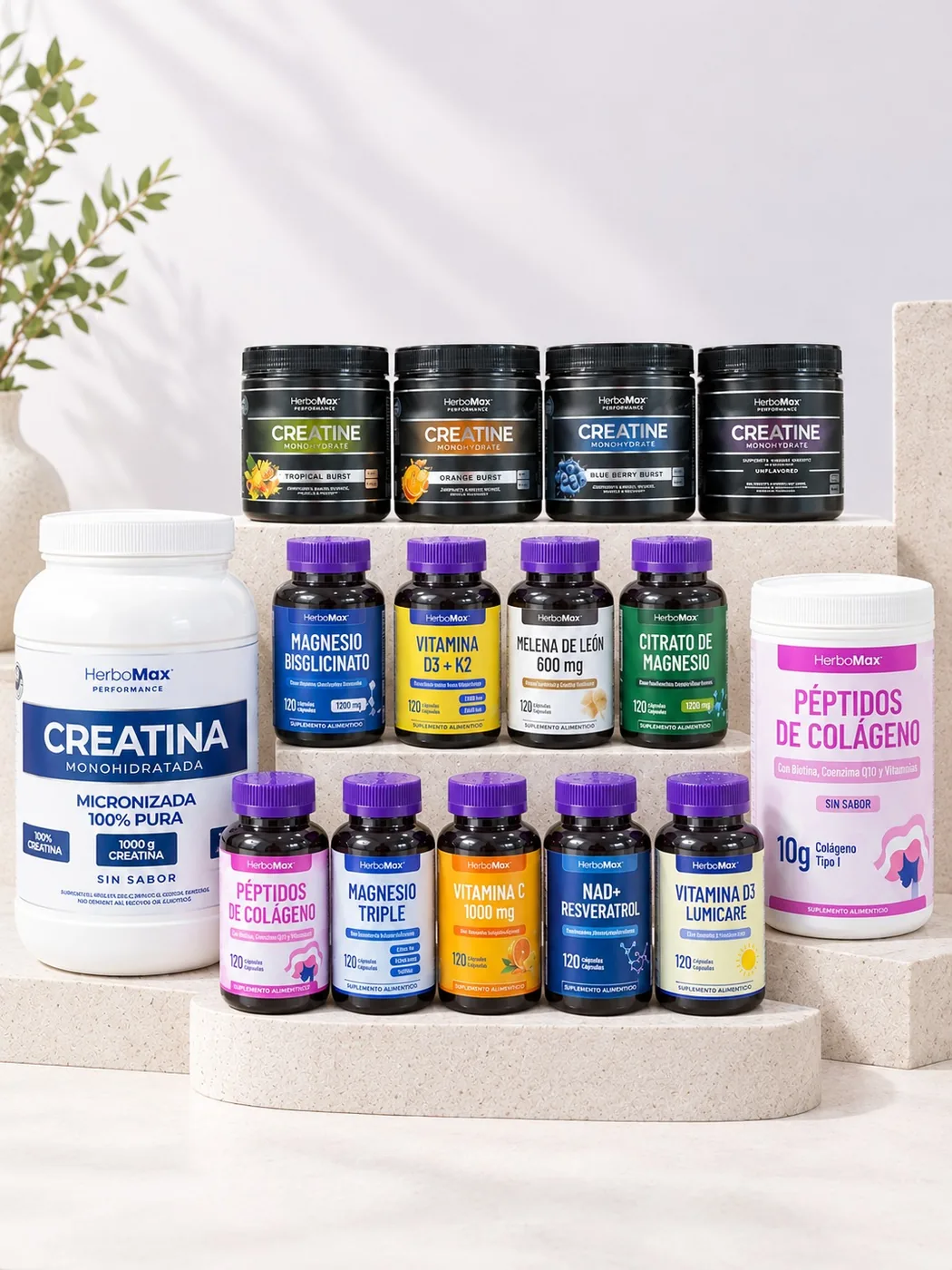La linea completa de suplementos HerboMax: creatinas, magnesios, vitaminas, colageno y melena de leon